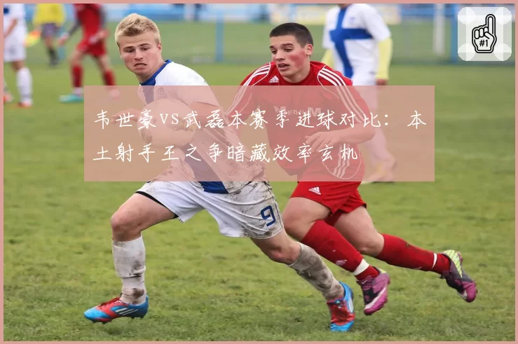 韦世豪vs武磊本赛季进球对比:本土射手王之争暗藏效率玄机