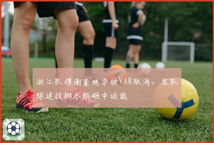 浙江队穆谢奎绝杀被VAR取消，客队球迷投掷水瓶砸中边裁